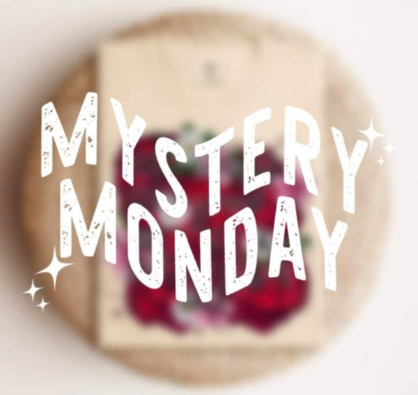Mystery Monday 4.1
