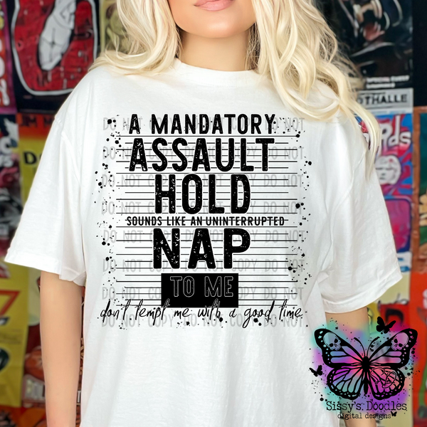 A Mandatory Assault Hold Sounds Like an Uninterrupted Nap to Me PNG Download